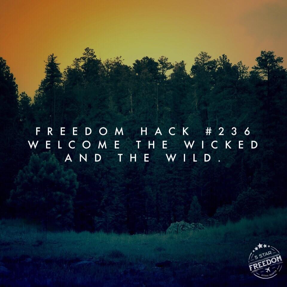 freedom-hack-236