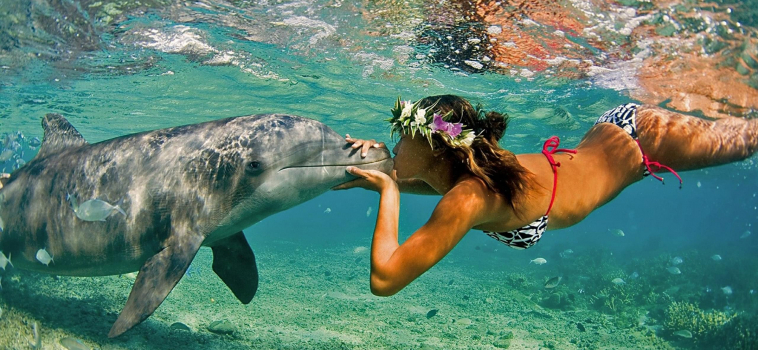 Become A Real-Life Mermaid: Swim With The Dolphins Off The Coast of Hawaii’s Big Island