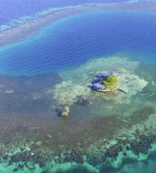 F*@K Private Rooms! Here Are 6 Private ISLANDS You Can Rent on Airbnb ASAP